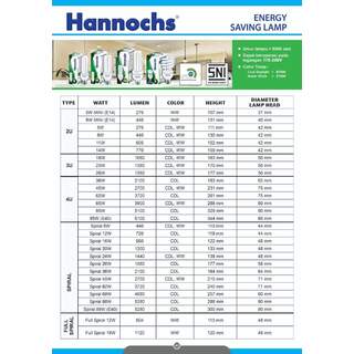 HANNOCHS PLC 2U 14WATT